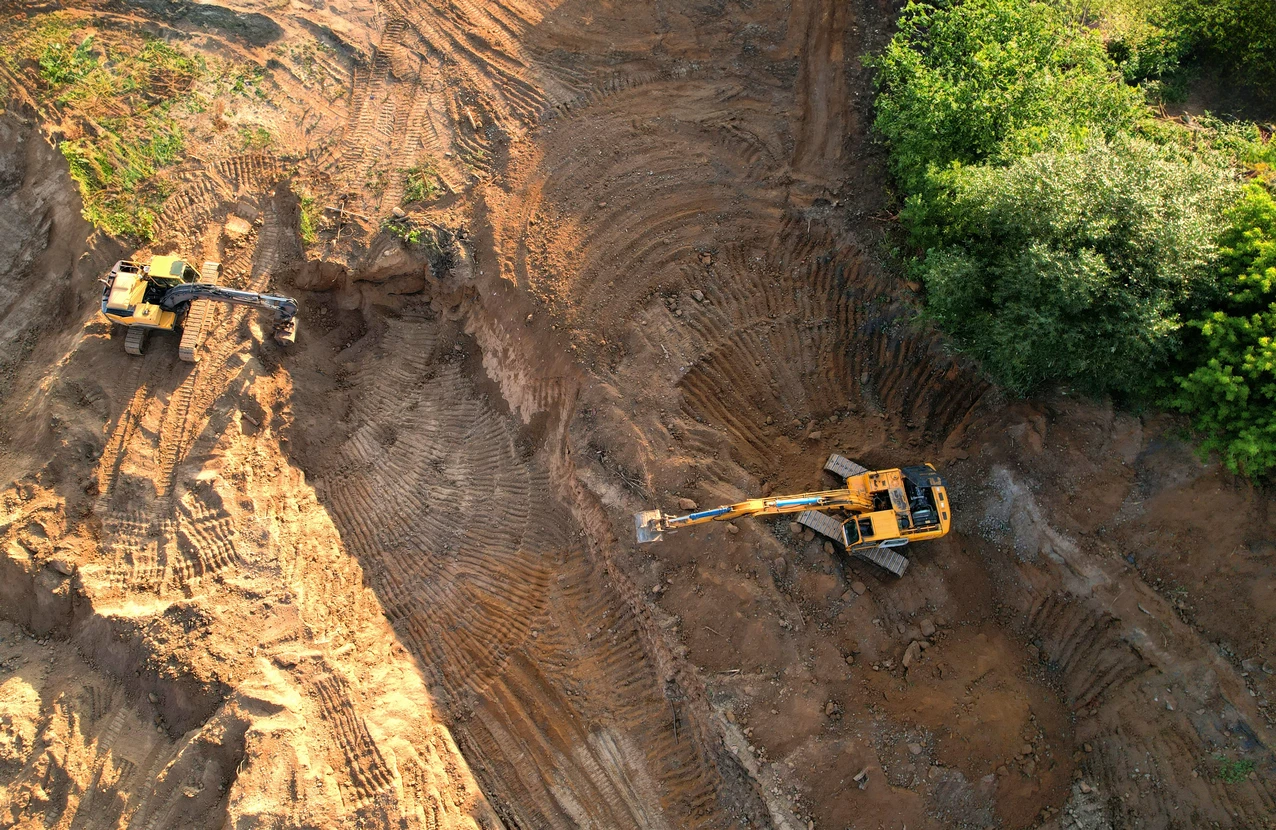 Espace extérieur avec pelouse verte uniforme et haie de conifères parfaitement taillée en arrière-plan